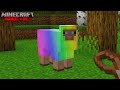 Jai captur tous les mobs de minecraft en hardcore 