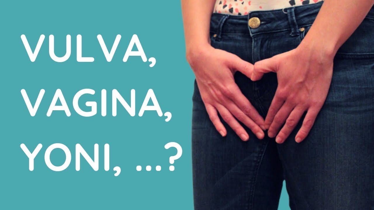 Удивительная вульва Кристины Удивительная вульва Кристины