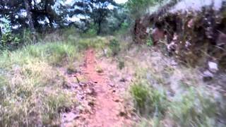 Cerro san francisco el fresno jiquilpan raptors