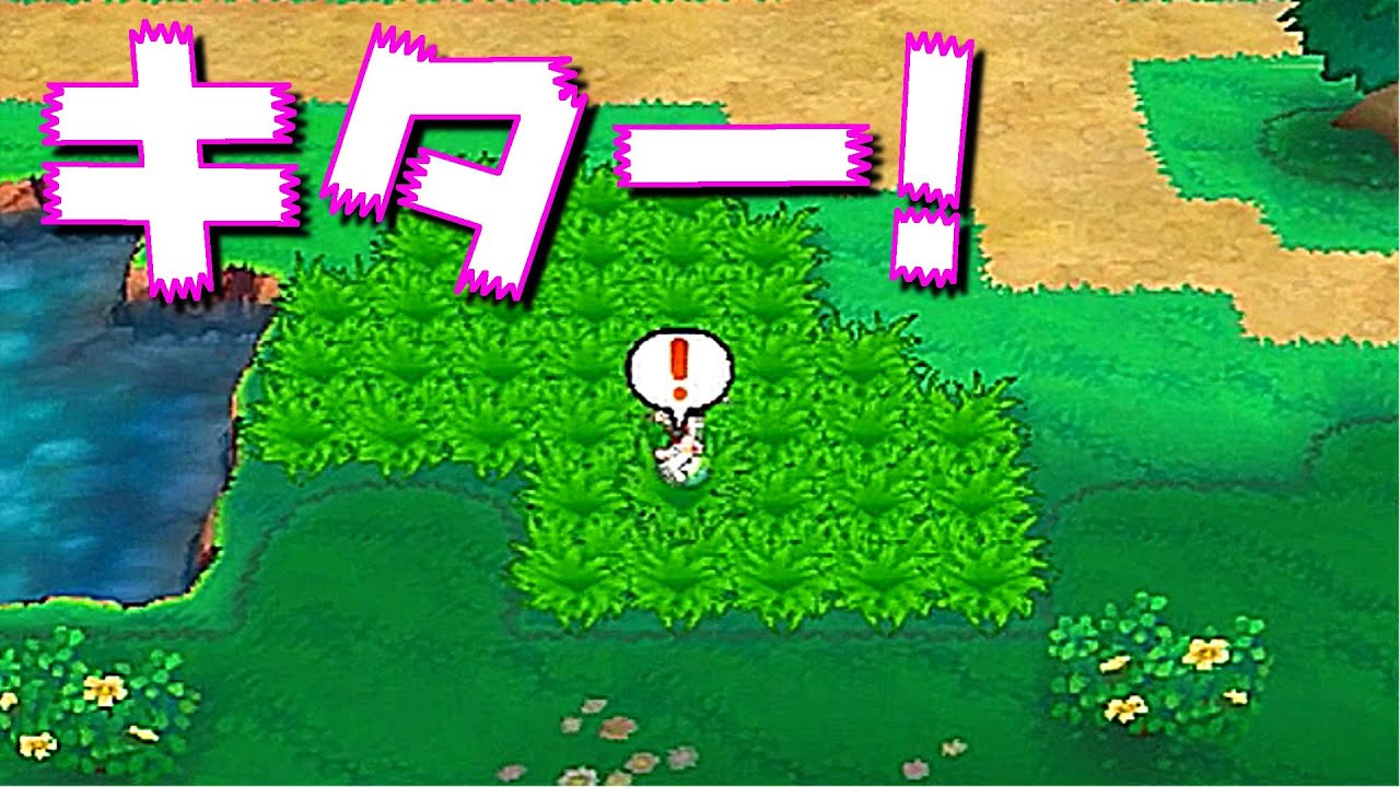 ポケットモンスターORAS]（色違い）サーチレベルが大事（part85