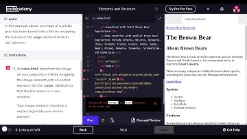 Learn HTML with Codecademy HTML Document Standards Part 3