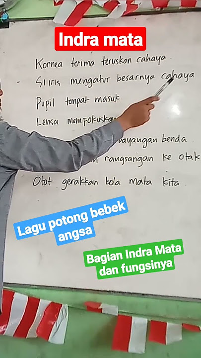 Lagu Indra Mata-bagian indra mata dan fungsinya
