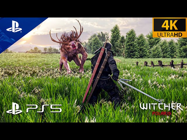 Witcher 2 on PlayStation 4. Catjaro PS4Linux (D9VK) 