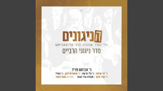 ימין השם (שמחה פרידמן)