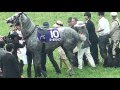 痴漢撃退！ 「ゴールドシップ」 宝塚記念優勝馬 誇り高き蹴り！