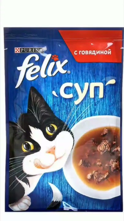 котек стал жирным#ЕгоЗовутДжерри - YouTube