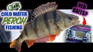 WINTER PERCH FISHING | How to Catch Perch on the Ned Rig | Floating Creature Baits | Big Perch Lures