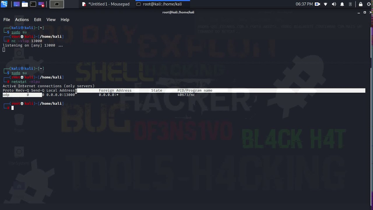 How to confirm the open UDP port