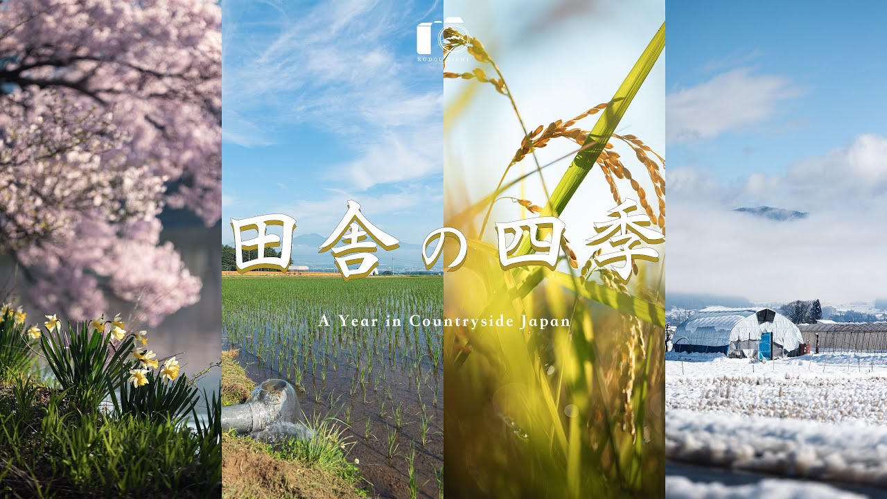 Японская деревня: Весна, Лето, Осень, Зима | 2025