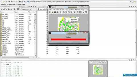 Determination of minutiae score for fingerprint application.flv