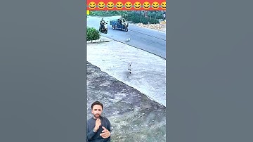 Dog’s Unexpected Action Shocked Everyone!" 🐶🔥
