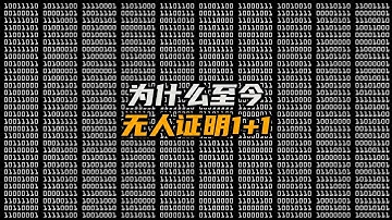 1+1≠2？数学家集体崩溃的世纪难题，连欧拉都束手无策！300年悬案『1+1』为何至今无人能破？| 哥德巴赫猜想 | 数学未解之谜 | 让脑洞飞一会