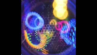 Bakfedrar Music Video