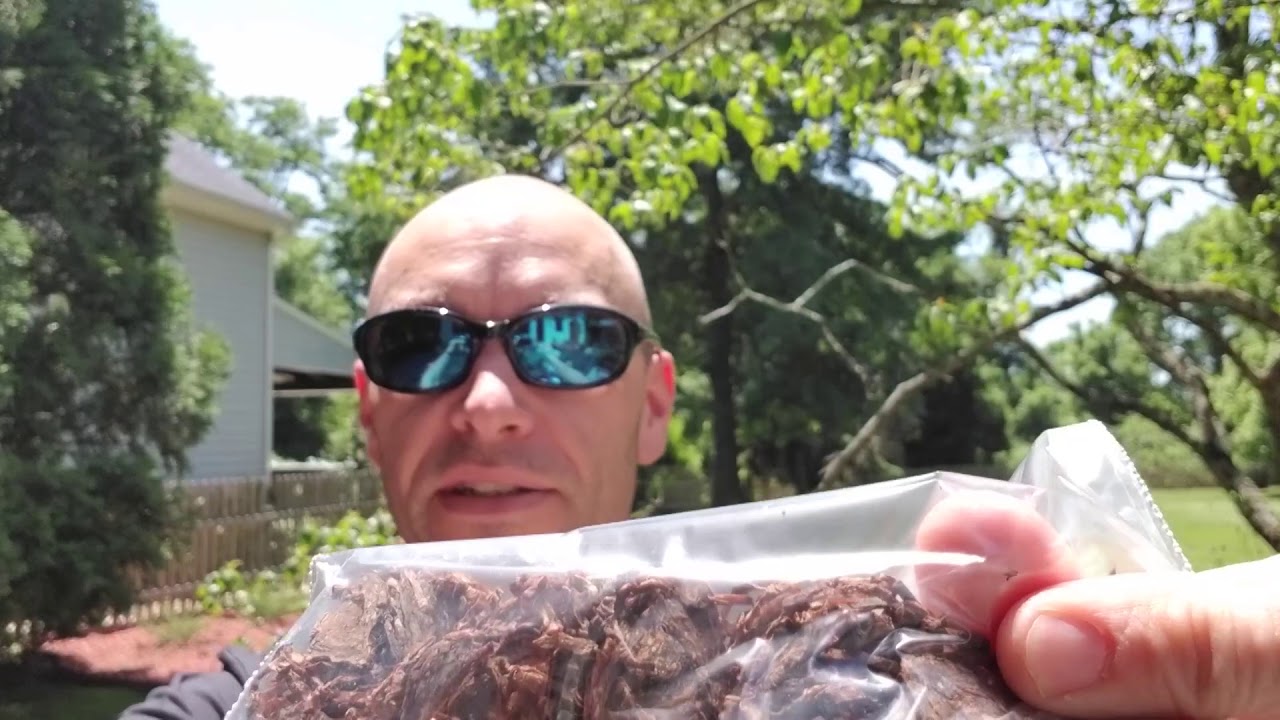 VR to Gently Tamped, Billy Smock & Esoterica YABOs