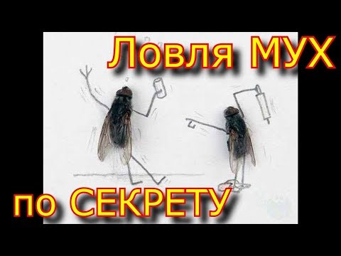 ✅ 🐛👋🐝 Как поймать Муху рукой, БАБУШКИН способ по секрету!!!\\\\ смотреть всем ловля мух!!!