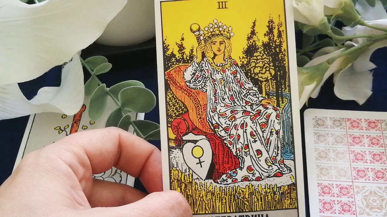 Таро гороскоп скорпион апрель 2024. Скорпион кот Таро. Tarot 2024. Таро по гороскопу на апрель.