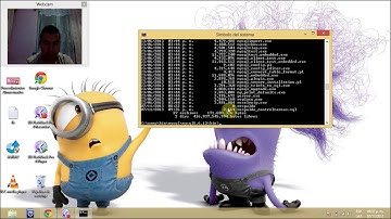 Respaldar una base de datos en MySQL (Consola Y Grafica)