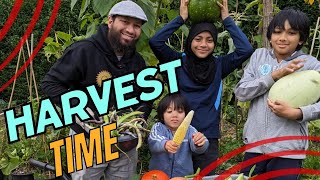 Can This Season Be Saved? October Garden Harvest by My Family Garden 2,910 views 7 months ago 16 minutes