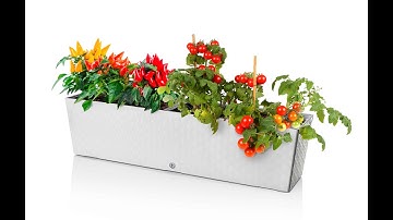 Supreme window box with self-watering system