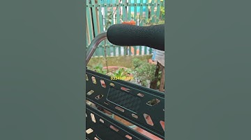 Ghế Câu Cá LQ 032B giá 1500k | lh 0334968190 #docauhienminh #cauca #ghecaucalq032b