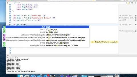 Enums in Swift with CaseIterable and Raw Value
