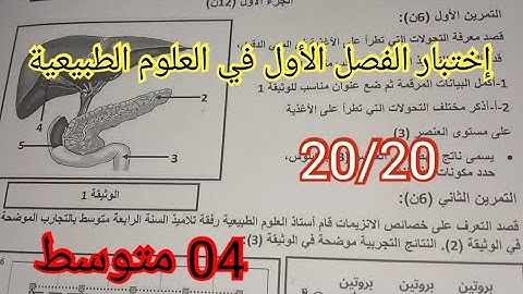 إختبار الفصل الأول في العلوم الطبيعية السنة الرابعة متوسط