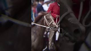 Can He Do It Today? Go Mage