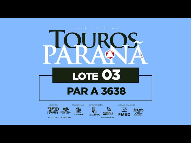 LOTE 3 PAR A3638