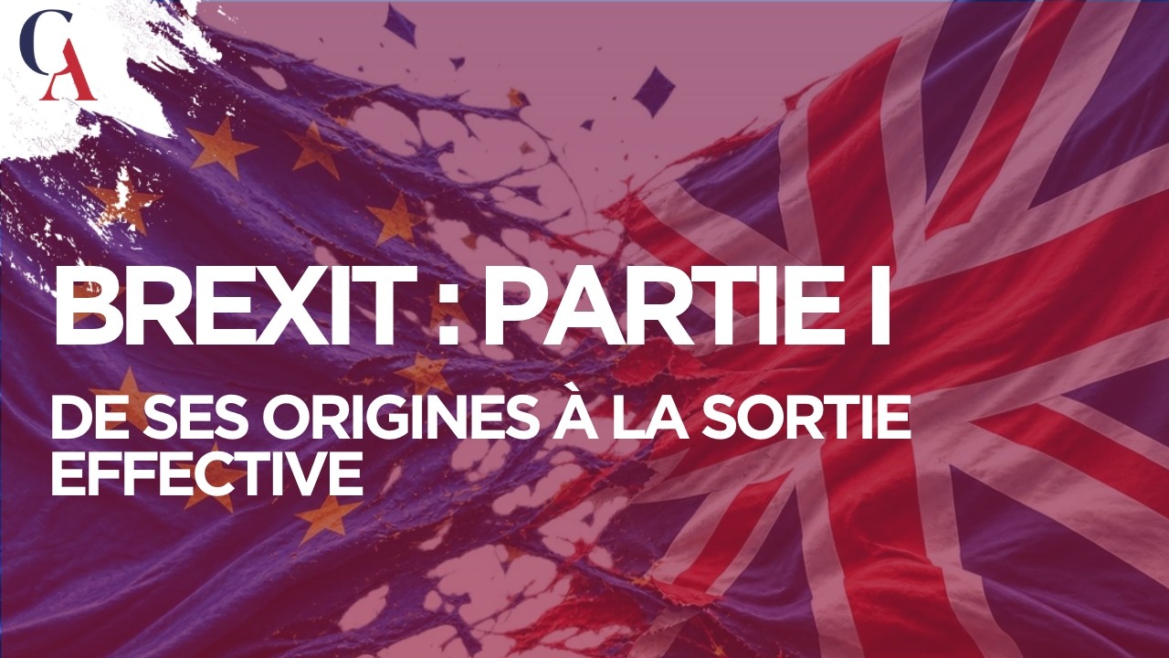 L'Histoire du Brexit au delà des mensonges I Jean-Michel Salmon et Pierre Yves Rougeyron