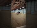 Cause I’m all that you want #horse #horseriding #equestrian #riding