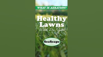 Core Aeration: The Secret to a Lush Healthy Lawn