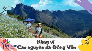 Hùng vĩ cao nguyên đá Đồng Văn