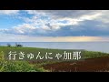 行きゅんにゃ加那