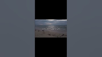 ﴿وَٱلۡأَرۡضَ وَضَعَهَا لِلۡأَنَامِ﴾ - سورة الرحمن الآيات (١٠ - ١٣) القارئ الشيخ عبد الباسط عبد الصمد