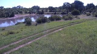 Djuma Private Game Reserve Live Stream