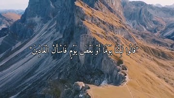 القارئ الشيخ د.هاشم ابو دلال ✨