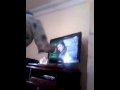 2m O Ach Kadir B Lmgharba 2m O Ach Kadir B Lmgharba