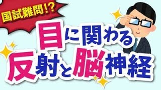 【対光反射・瞬目反射・輻輳反射って何？】反射と脳神経について解説