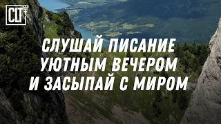 видео: Не можешь уснуть? Перед сном: отпусти тревоги, доверься Богу #Библия #исцеление_души #утешение картинка: Не можешь уснуть? Перед сном: отпусти тревоги, доверься Богу #Библия #исцеление_души #утешение