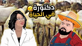 بيلو و شيراز - كبش العيد