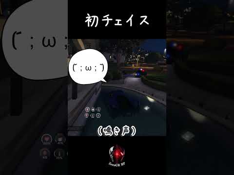 【#ゼログラRP】リリィの初チェイス～鳴き声を添えて【GTA5】