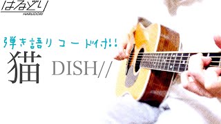 【弾き語りコード付】「猫」DISH//　Acoustic Cover【フル歌詞】