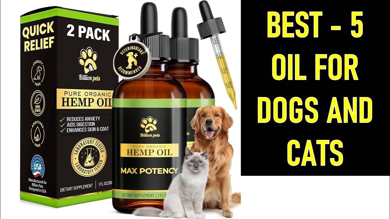 TOP 5 Best Oil for Dogs and Cats  2025