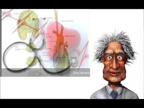 Vídeo: Com afecta l'osmolaritat a la pressió arterial?