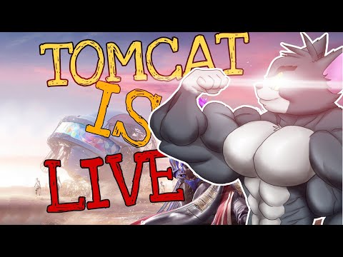 TOMCAT IS LIVE       BGMI LIVE GAMEPLAY