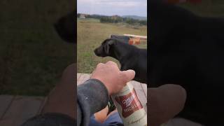 Board And Batten Cedar Siding... This Week