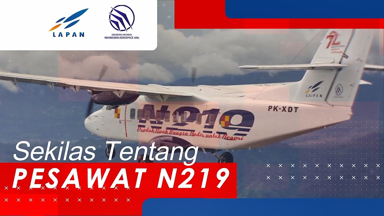 Sekilas Tentang Pesawat N219
