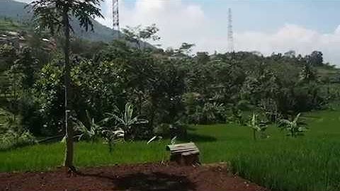 Social Entrepreneurship Project AIESEC in UNPAD for Summer 2019 [8th July - 19th August]