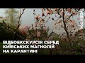 Магнолії на карантині: як цвіте київський ботанічний сад без відвідувачів