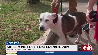 Safety Net Foster Program helps pet owners during tough times